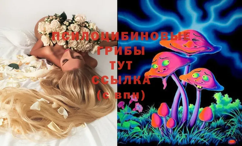 OMG рабочий сайт  Омск  Псилоцибиновые грибы MAGIC MUSHROOMS 